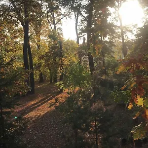 Di Olga Apartament